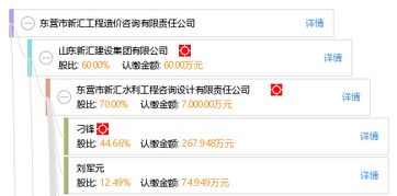 东营市新汇工程造价咨询有限责任公司的专业工程造价咨询服务